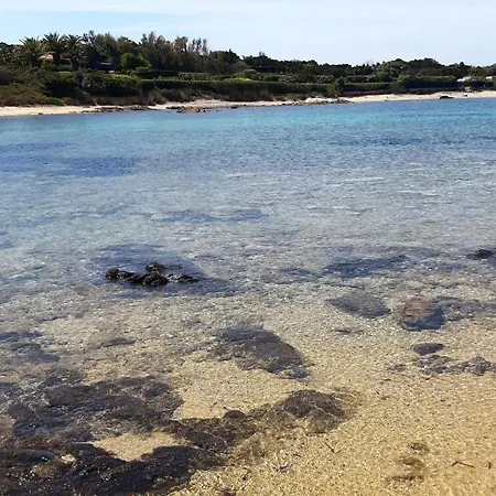 Domo In Terranoa, Old Town * Ольбия